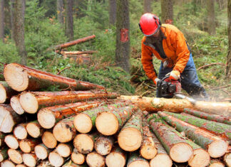 Części do produktów firmy Stihl Części do produktów firmy Stihl