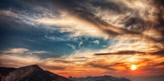 W jakich godzinach bierze sandacz?