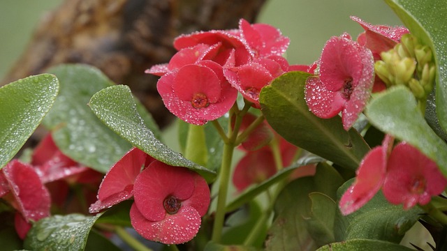 Co produkowano w Sianowie? Co produkowano w Sianowie?