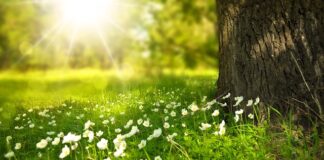 Co daje białe światło w akwarium?