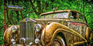 Kto jest właścicielem marki Salomon?