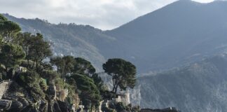 Ile kosztuje 1 litr Coca Coli?