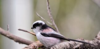 Czy 1 energetyk szkodzi?