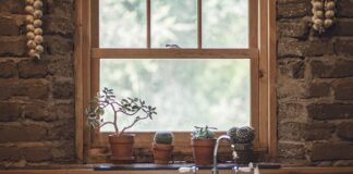 Czy czosnek jest dobry na karpia?