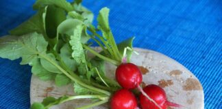 Czym przemywać pochwę?