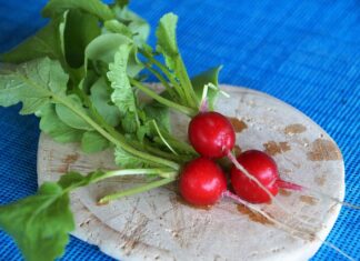 Czym przemywać pochwę? Czym przemywać pochwę?