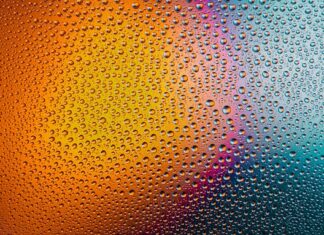 Na jakim programie najlepiej myć w zmywarce? Na jakim programie najlepiej myć w zmywarce?