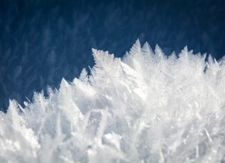 Czego nie można ponownie zamrażać?