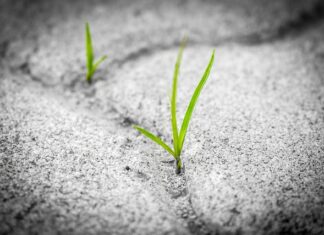 Jaka jest trwałość pelletu?