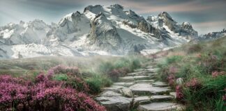 Co kupić miłośnikowi gór?