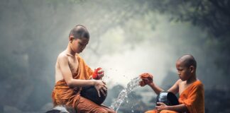 Co zamiast płynu do czyszczenia zmywarki?