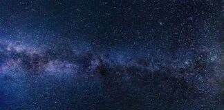 Jak robić zdjęcia z rybami?