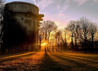 Z czego robi się flak do kiełbasy?