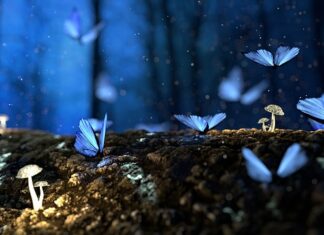 Czego nie lubią grzyby w organizmie? Czego nie lubią grzyby w organizmie?