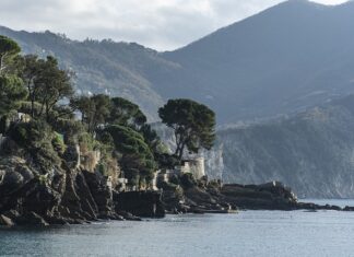 Ile kosztuje szare mydło w Rossmanie?