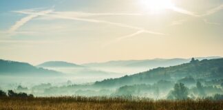 Na co złapać żywca?