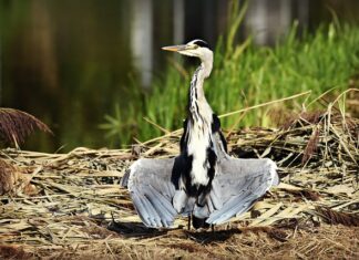Jak suszyć mop? Jak suszyć mop?