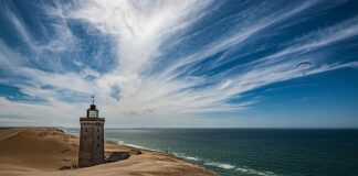 Do jakiej kategorii zalicza się jajko?