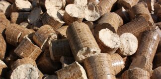 Jaki pellet sprawdza się na leszcza?