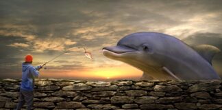 Co zrobić żeby żyłka się nie skręcała?