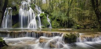 Jak zrobić białą kiełbasę?