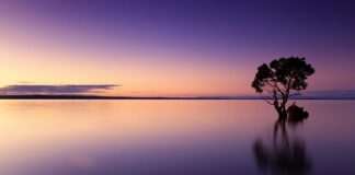 Ile wody dziennie to za dużo?