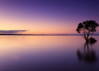 Ile wody dziennie to za dużo?