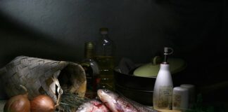 Co jedzą karasie w stawie?