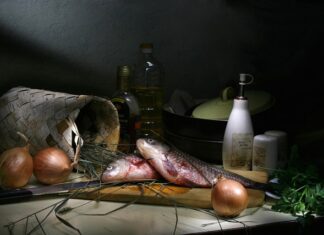 Co jedzą karasie w stawie?