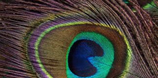 Ile papierosów na pokład samolotu?