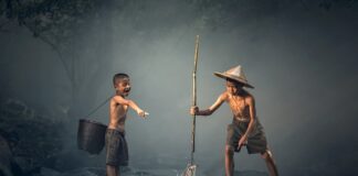 Jakie ryby lubią zapach kolendry?