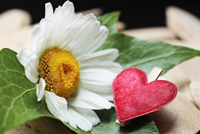 Czy nowy zacisk hamulcowy trzeba smarować? Czy nowy zacisk hamulcowy trzeba smarować?