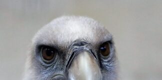 Ile ważą zaciski na gryf?