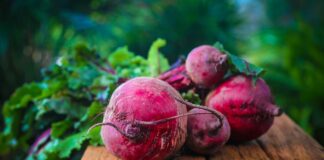 Czy przy cukrzycy można jeść buraki?