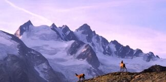 Jakie trekkingi kupić?