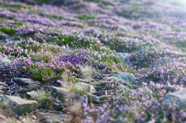 W jakich butach najlepiej wejść na Śnieżkę? W jakich butach najlepiej wejść na Śnieżkę?