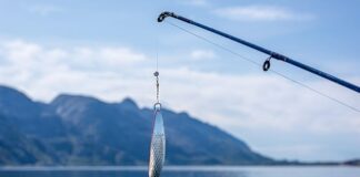 Co to haczyk Bezzadziorowy?