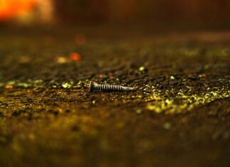 Ile wytrzyma wkręt Ciesielski? Ile wytrzyma wkręt Ciesielski?