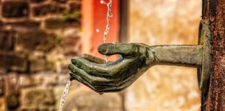 Jak często czyścić zmywarkę octem?