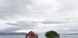 Dlaczego mętnieje solanka?