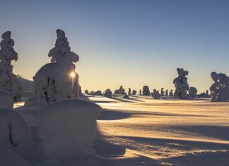 Jak założyć obciążenie na sztangę?