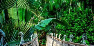 Czym przeciąć line?