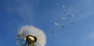 Jak dobrze wyprowadzić cios?