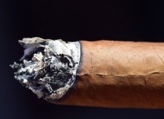 Jaka rybą jest rakotwórcza?