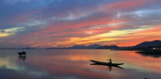 Jak skutecznie łowić szczupaki?