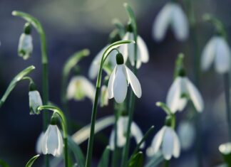 Ile wódki na 18? Ile wódki na 18?