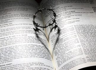 Jak stosować morwę Biała na cukrzycę? Jak stosować morwę Biała na cukrzycę?