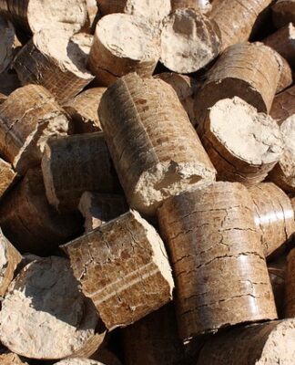 Jaki kolor pelletu na karpia?