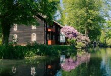 Spreewald